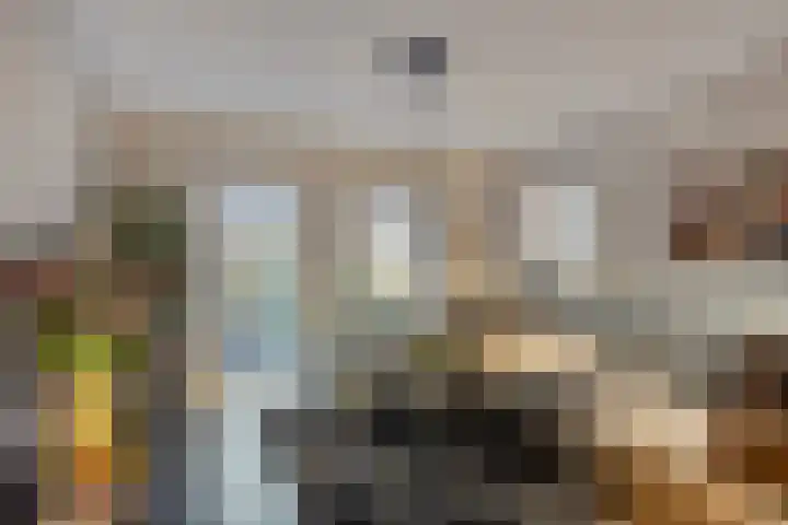 Beeldsweg 1 Zuidland thumbnail 20