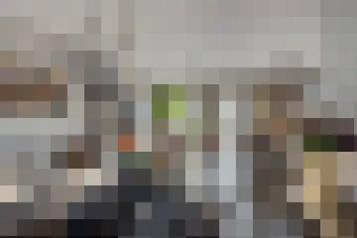 Beeldsweg 1 Zuidland thumbnail 21