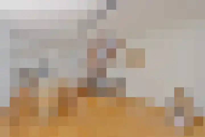 Beeldsweg 1 Zuidland thumbnail 24