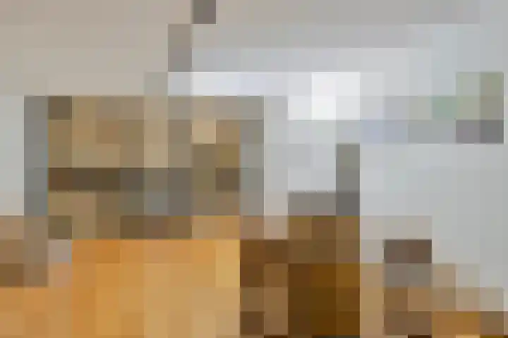 Beeldsweg 1 Zuidland thumbnail 25