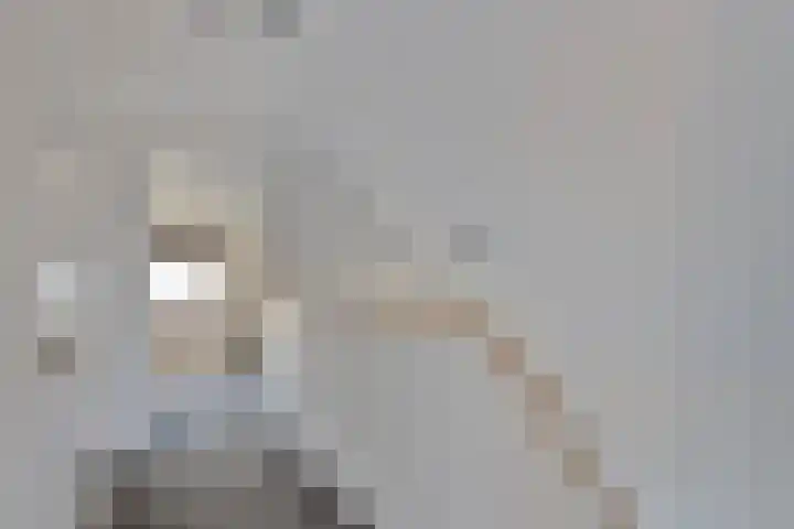 Beeldsweg 1 Zuidland thumbnail 26