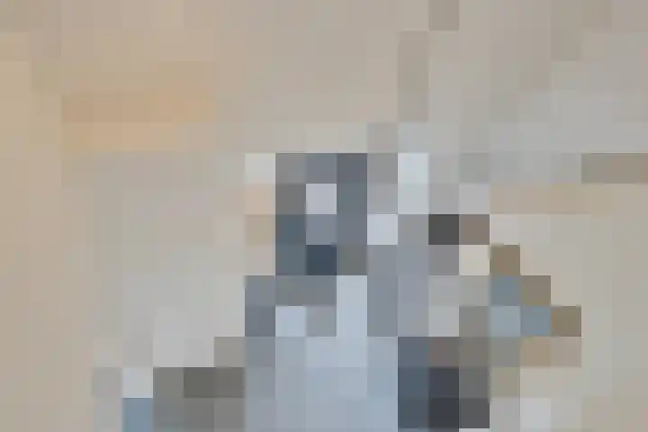 Beeldsweg 1 Zuidland thumbnail 27