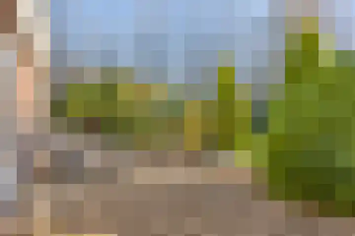 Beeldsweg 1 Zuidland thumbnail 36