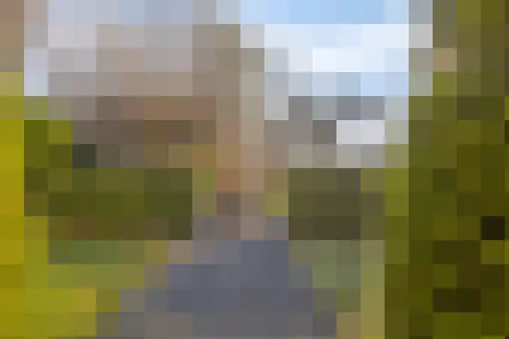 Beeldsweg 1 Zuidland thumbnail 37