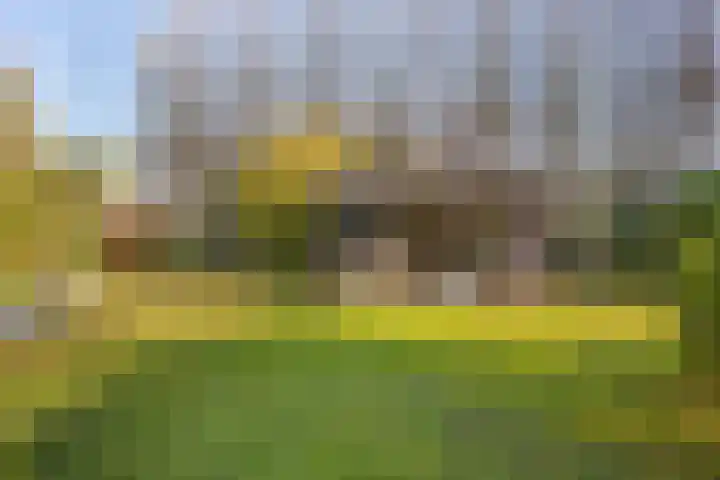 Beeldsweg 1 Zuidland thumbnail 39