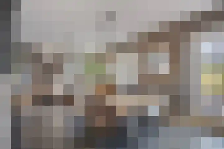 Beeldsweg 1 Zuidland thumbnail 4