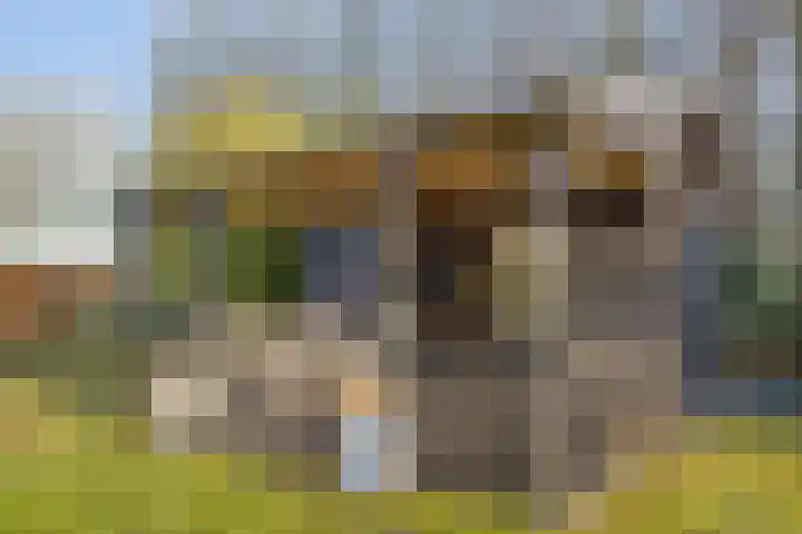 Beeldsweg 1 Zuidland thumbnail 40
