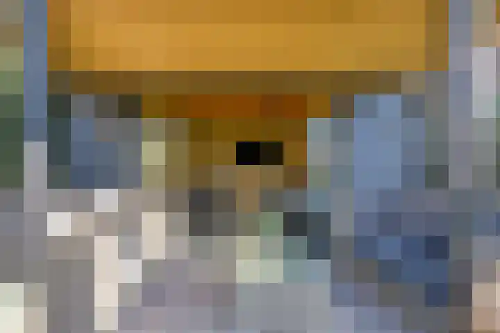 Beeldsweg 1 Zuidland thumbnail 41