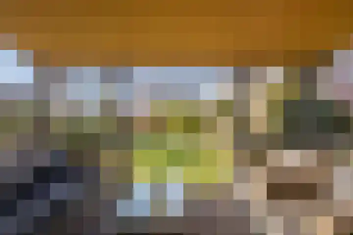 Beeldsweg 1 Zuidland thumbnail 42