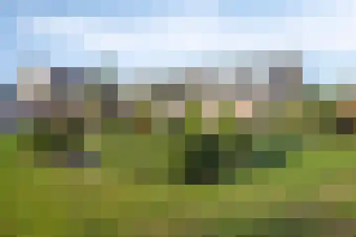 Beeldsweg 1 Zuidland thumbnail 43