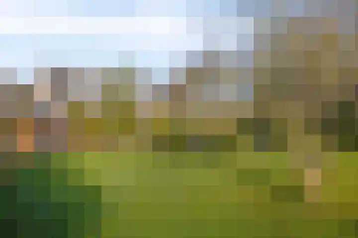 Beeldsweg 1 Zuidland thumbnail 44