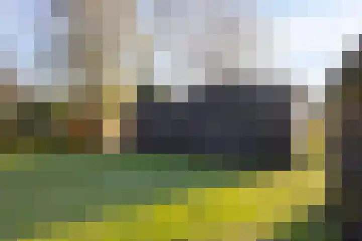 Beeldsweg 1 Zuidland thumbnail 45