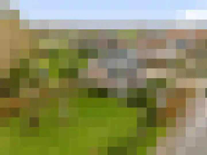 Beeldsweg 1 Zuidland thumbnail 46
