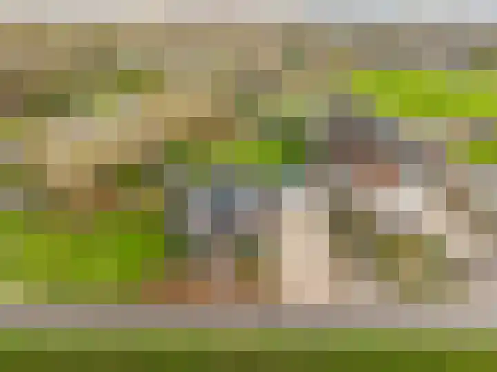 Beeldsweg 1 Zuidland thumbnail 47