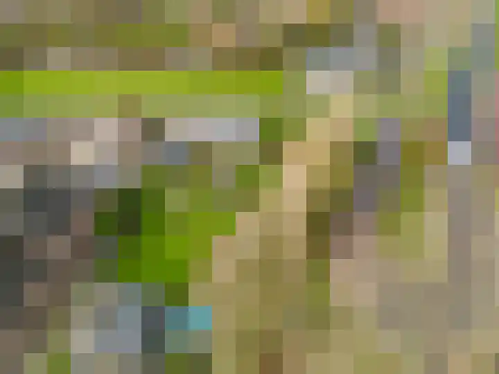 Beeldsweg 1 Zuidland thumbnail 48
