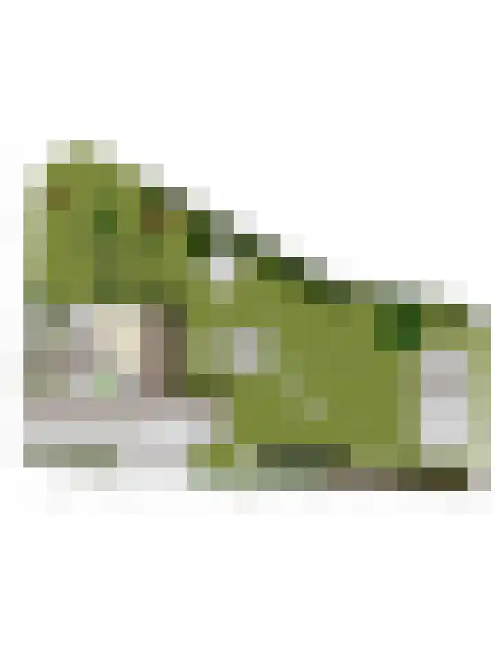 Beeldsweg 1 Zuidland thumbnail 53