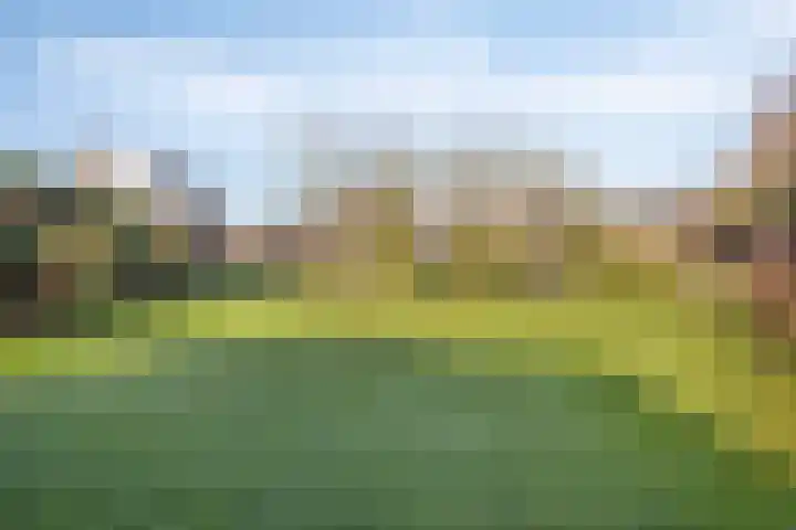 Beeldsweg 1 Zuidland thumbnail 6