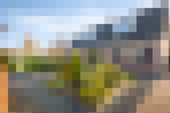 Beeldsweg 1 Zuidland thumbnail 7