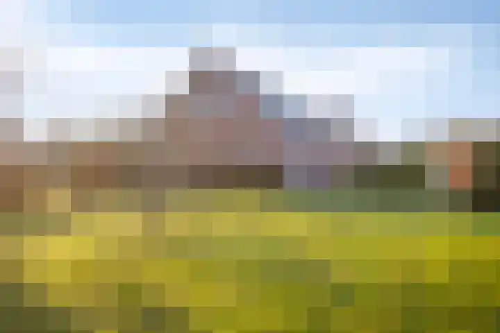 Beeldsweg 1 Zuidland thumbnail 8