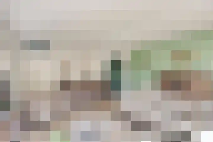 Beeldsweg 17 p Zuidland thumbnail 10