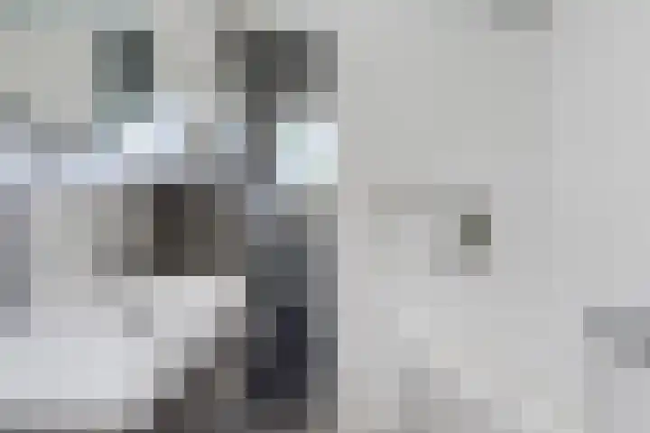 Beeldsweg 17 p Zuidland thumbnail 22