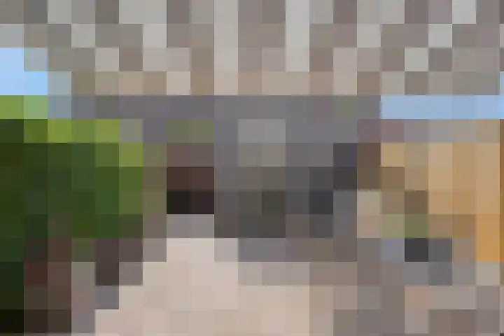 Beeldsweg 17 p Zuidland thumbnail 38