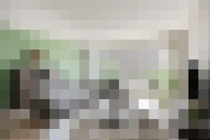 Beeldsweg 17 p Zuidland thumbnail 7