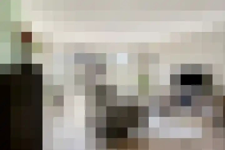 Beeldsweg 17 p Zuidland thumbnail 8