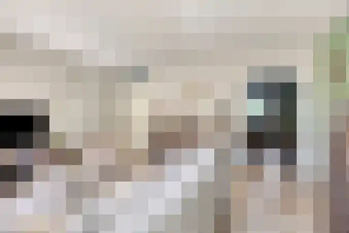 Beeldsweg 17 p Zuidland thumbnail 9