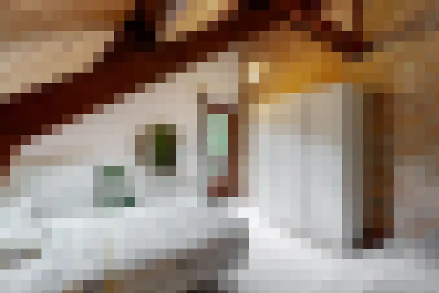 Beelenberg 3 Stein thumbnail 31