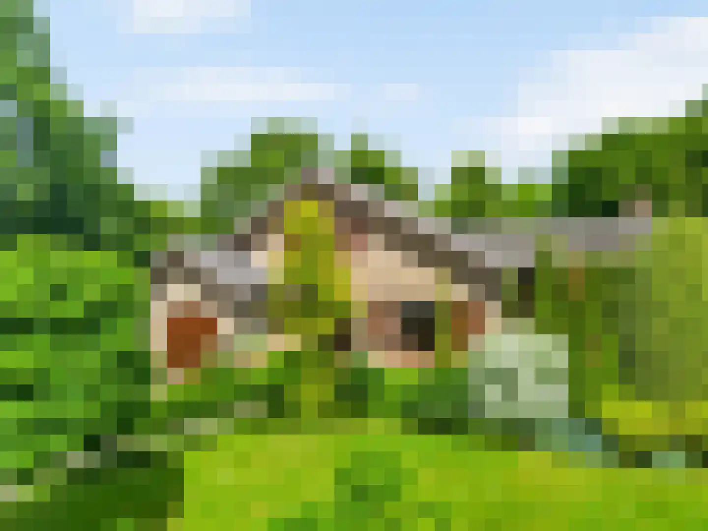 Beelenberg 3 Stein thumbnail 4