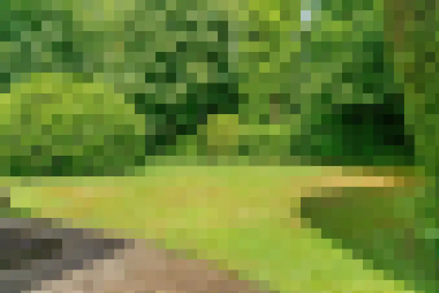 Beelenberg 3 Stein thumbnail 48