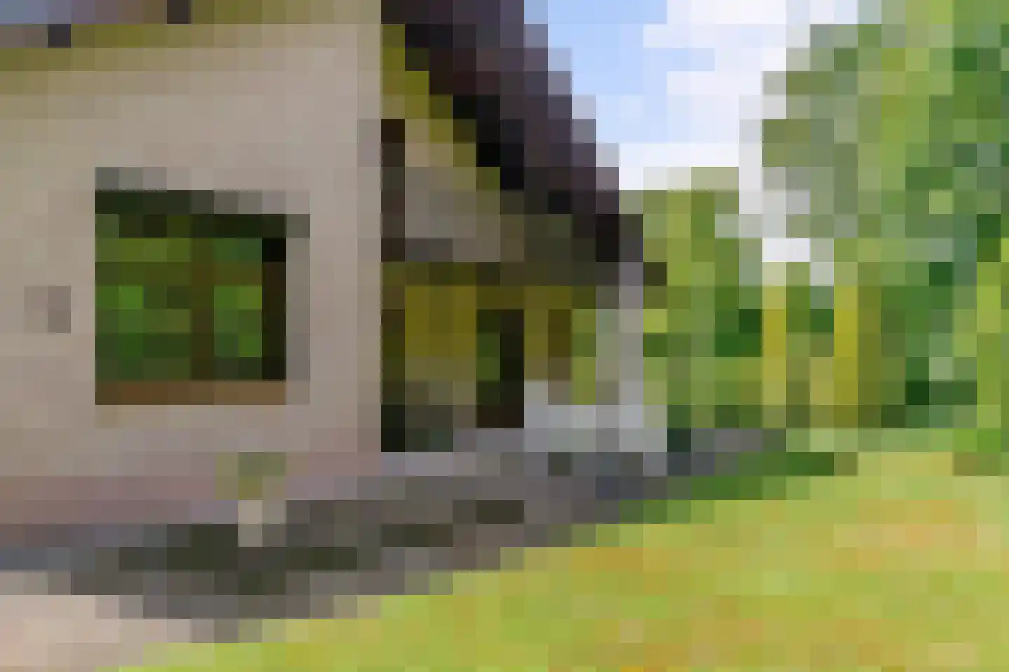 Beelenberg 3 Stein thumbnail 49