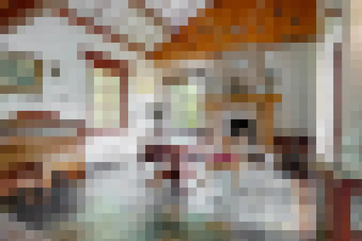 Beelenberg 3 Stein thumbnail 5