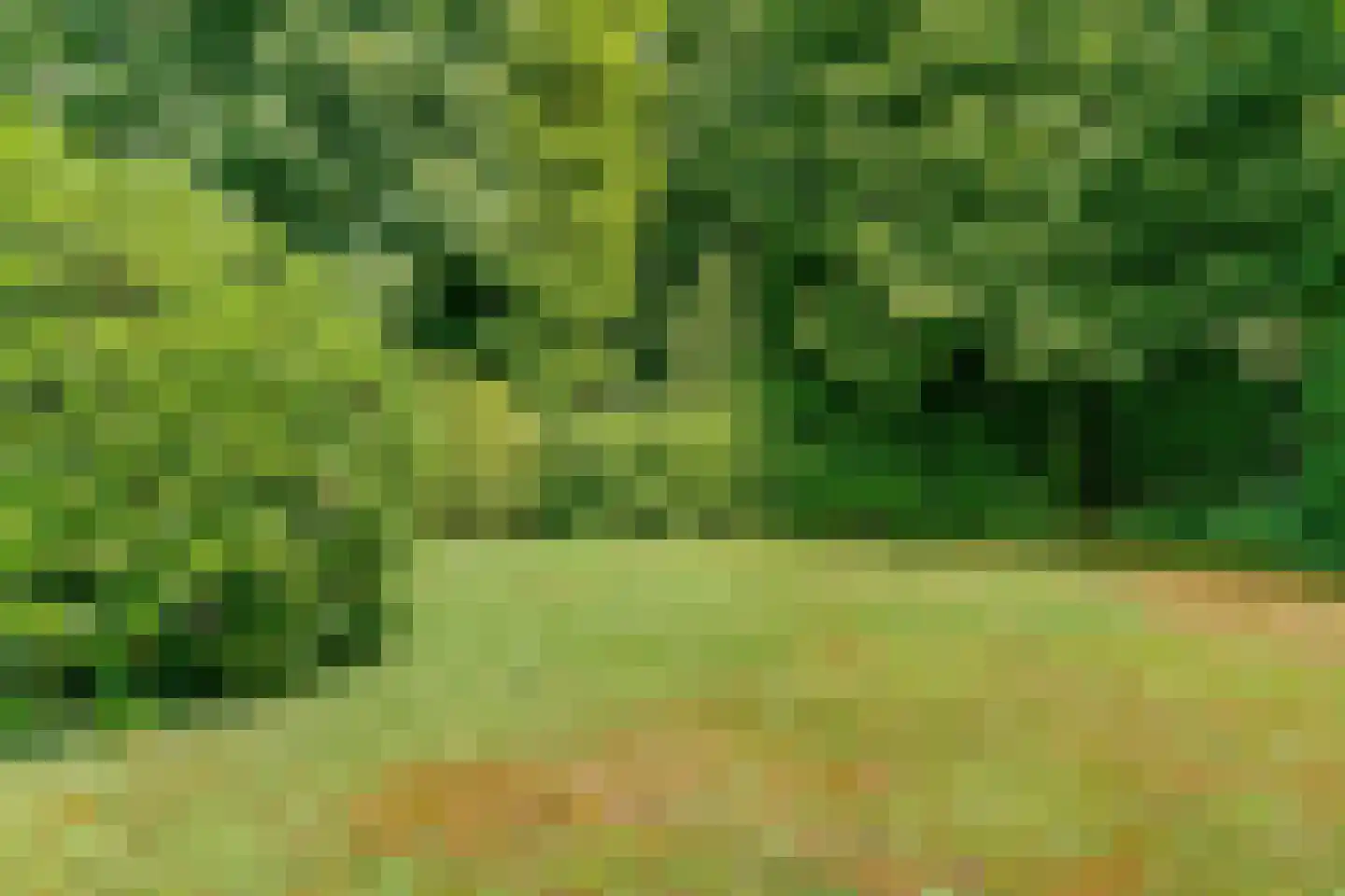 Beelenberg 3 Stein thumbnail 51