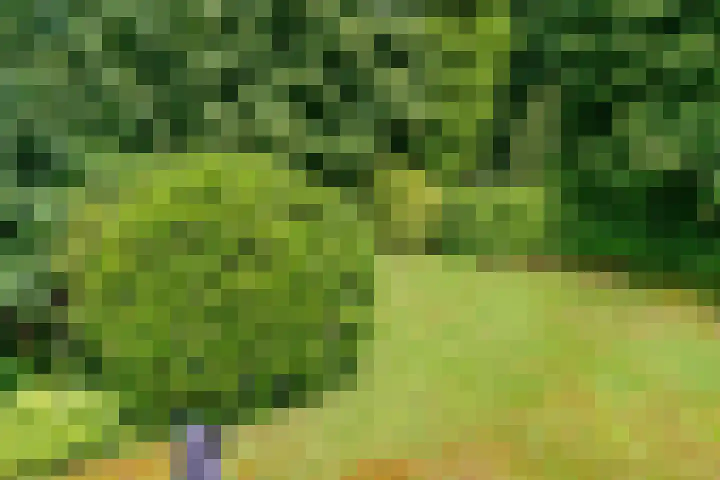 Beelenberg 3 Stein thumbnail 54