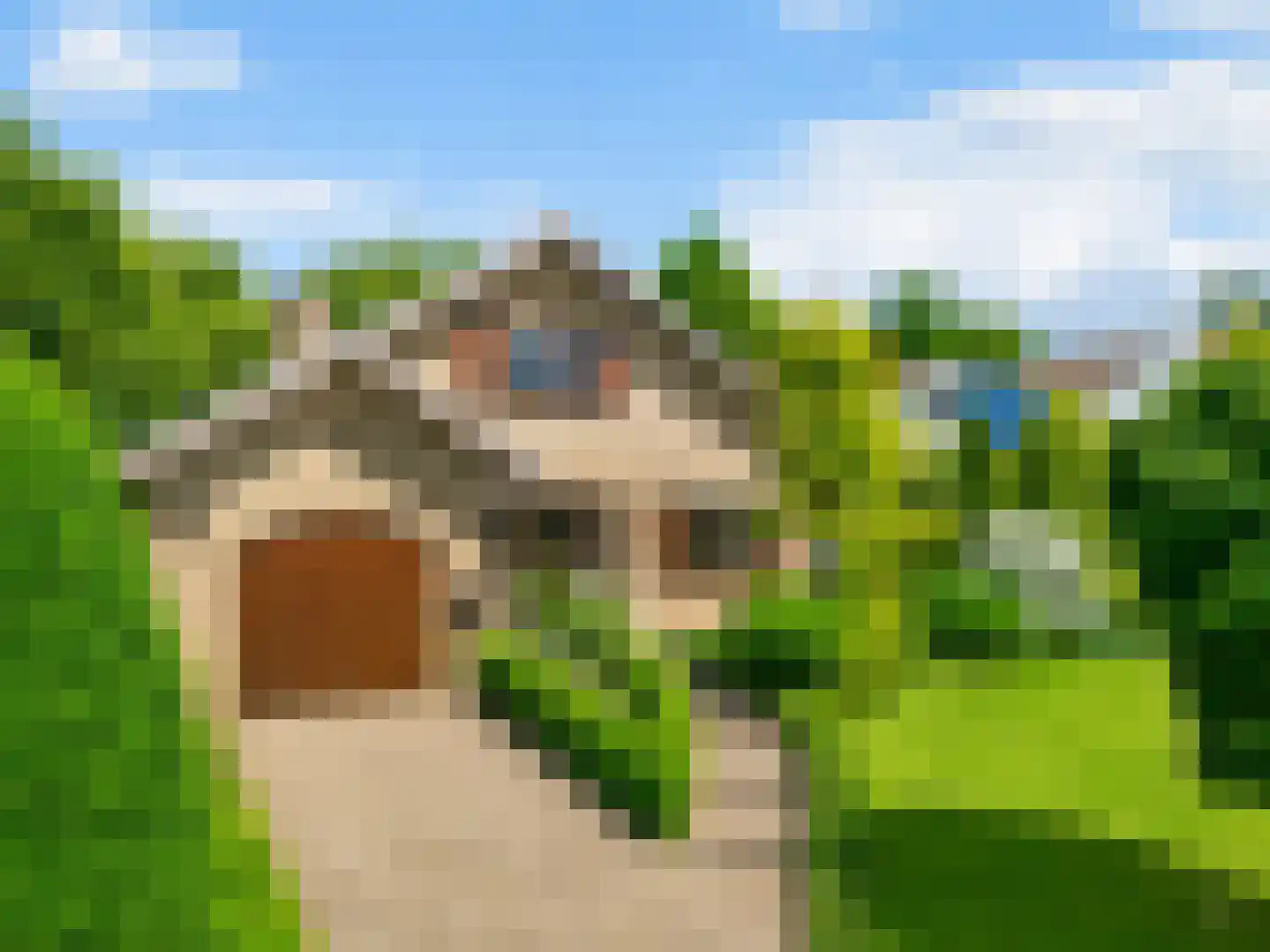 Beelenberg 3 Stein thumbnail 56