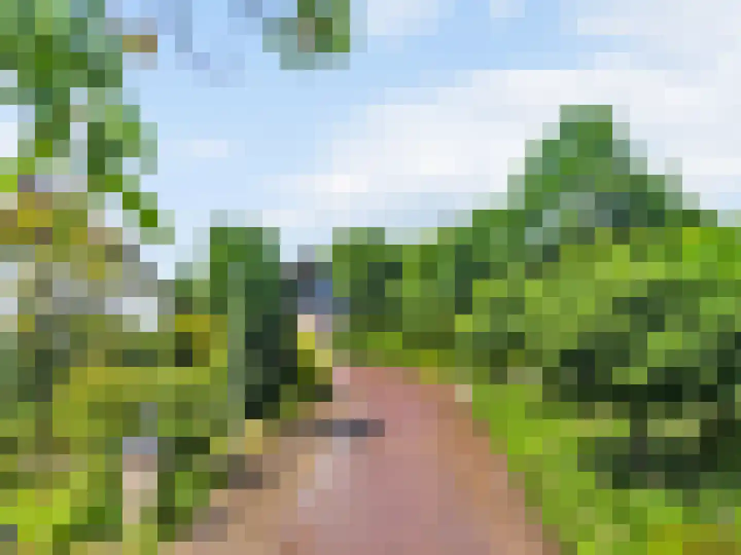 Beelenberg 3 Stein thumbnail 57