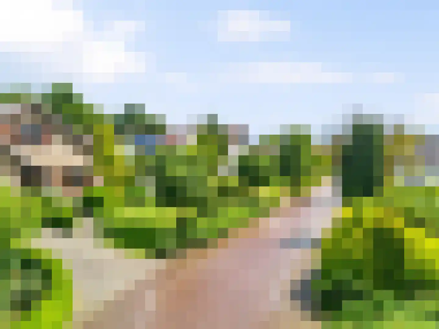 Beelenberg 3 Stein thumbnail 6