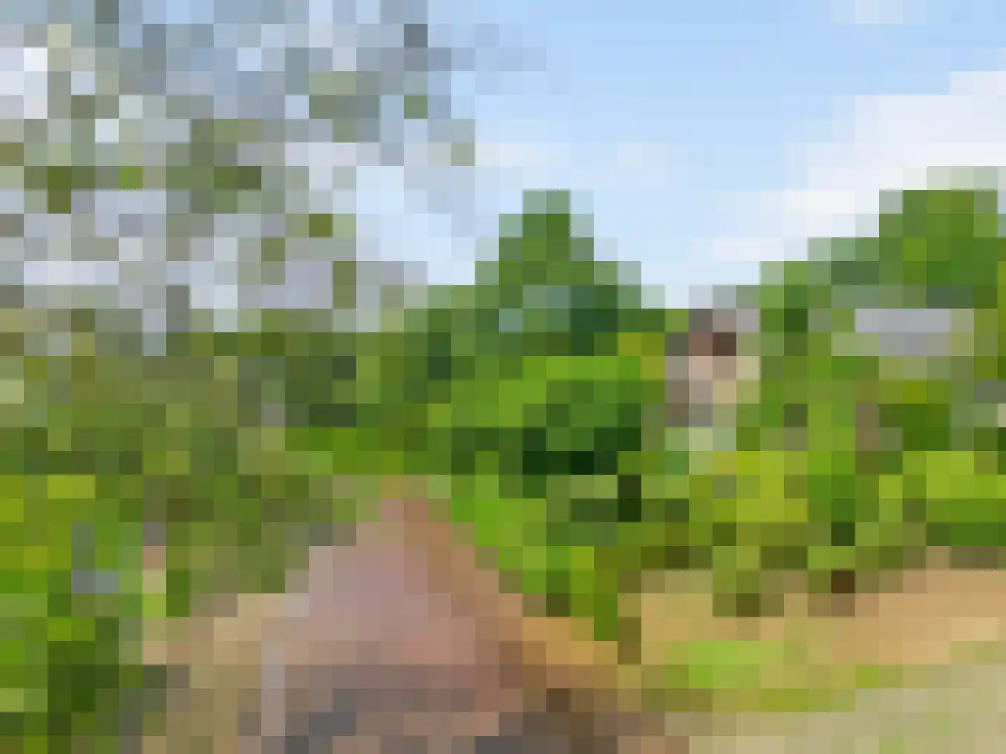 Beelenberg 3 Stein thumbnail 8