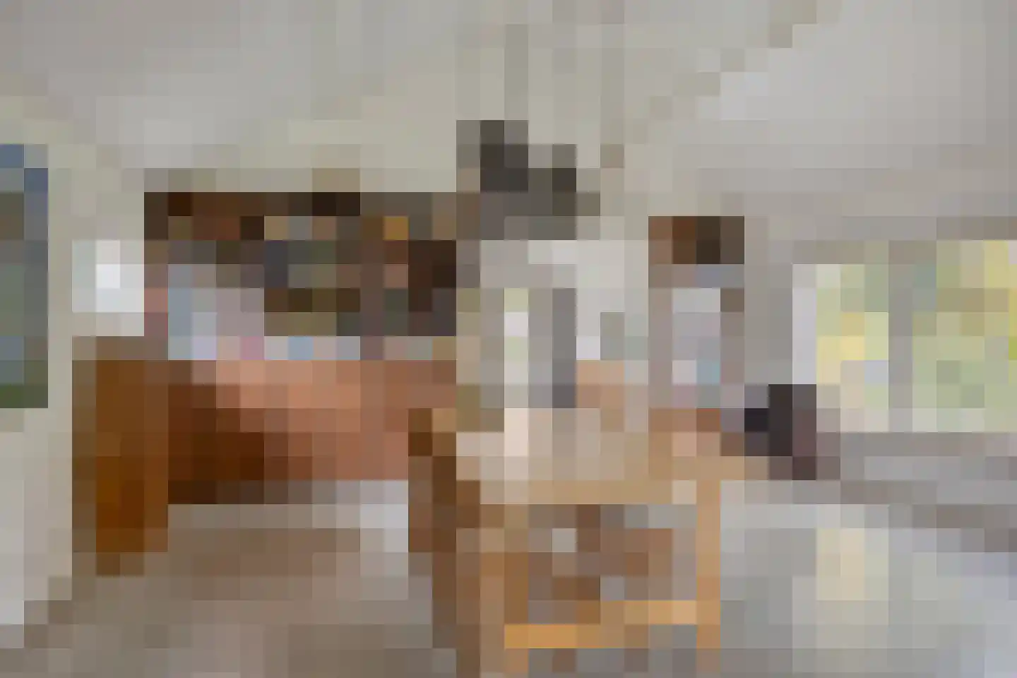 Beelenstraat 3 A Ospel thumbnail 35