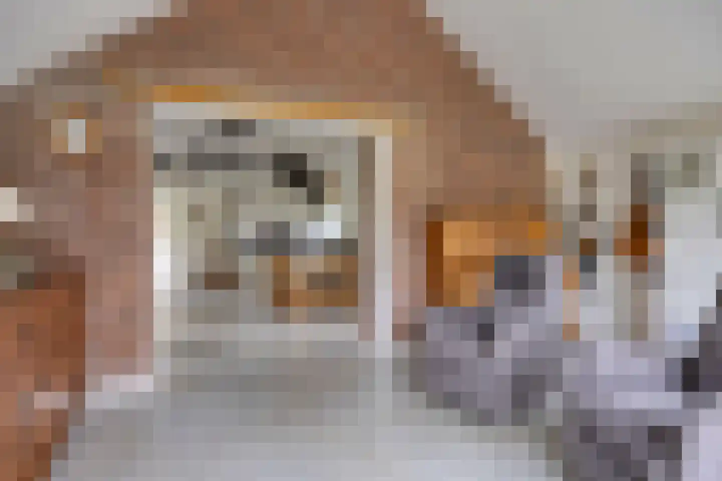 Beelenstraat 3 A Ospel thumbnail 39