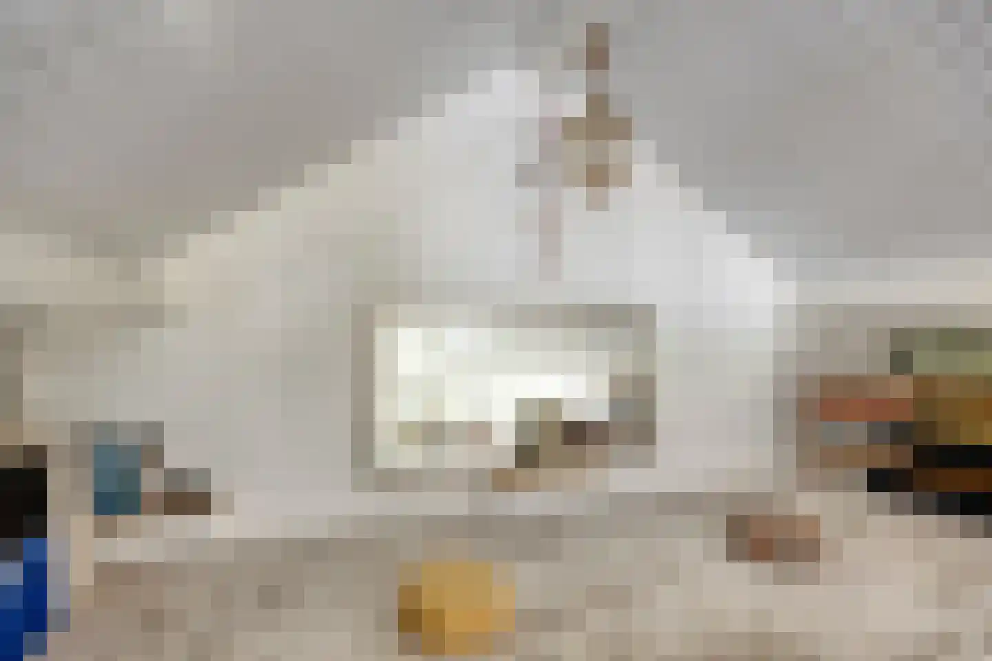 Beelenstraat 3 A Ospel thumbnail 42