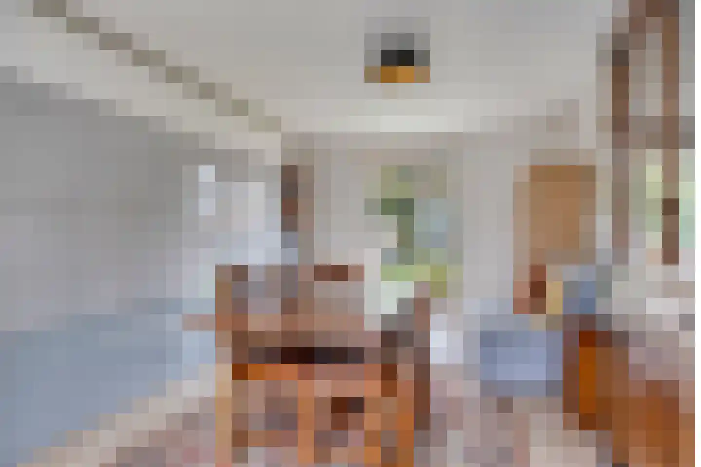 Beelenstraat 3 A Ospel thumbnail 50