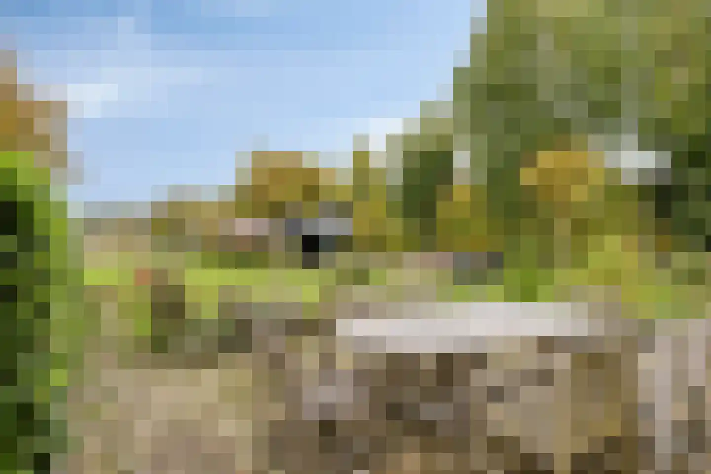 Beelenstraat 3 A Ospel thumbnail 54