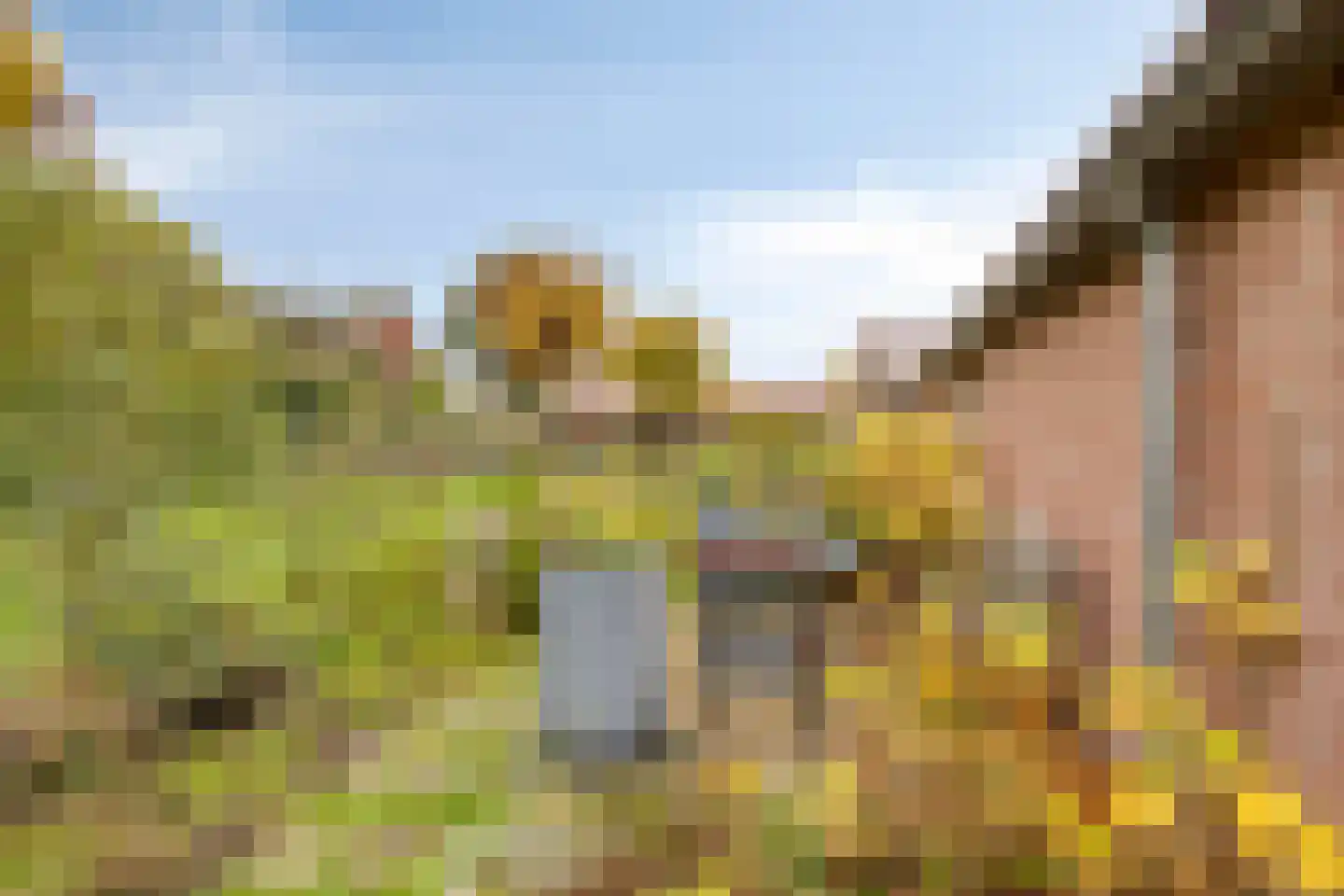 Beelenstraat 3 A Ospel thumbnail 56