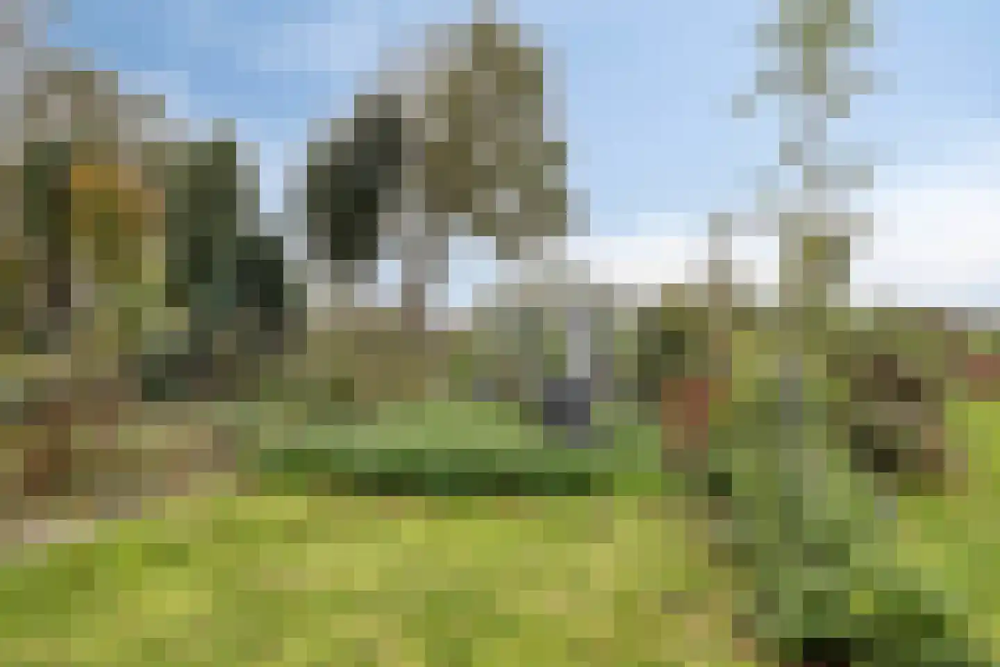 Beelenstraat 3 A Ospel thumbnail 59