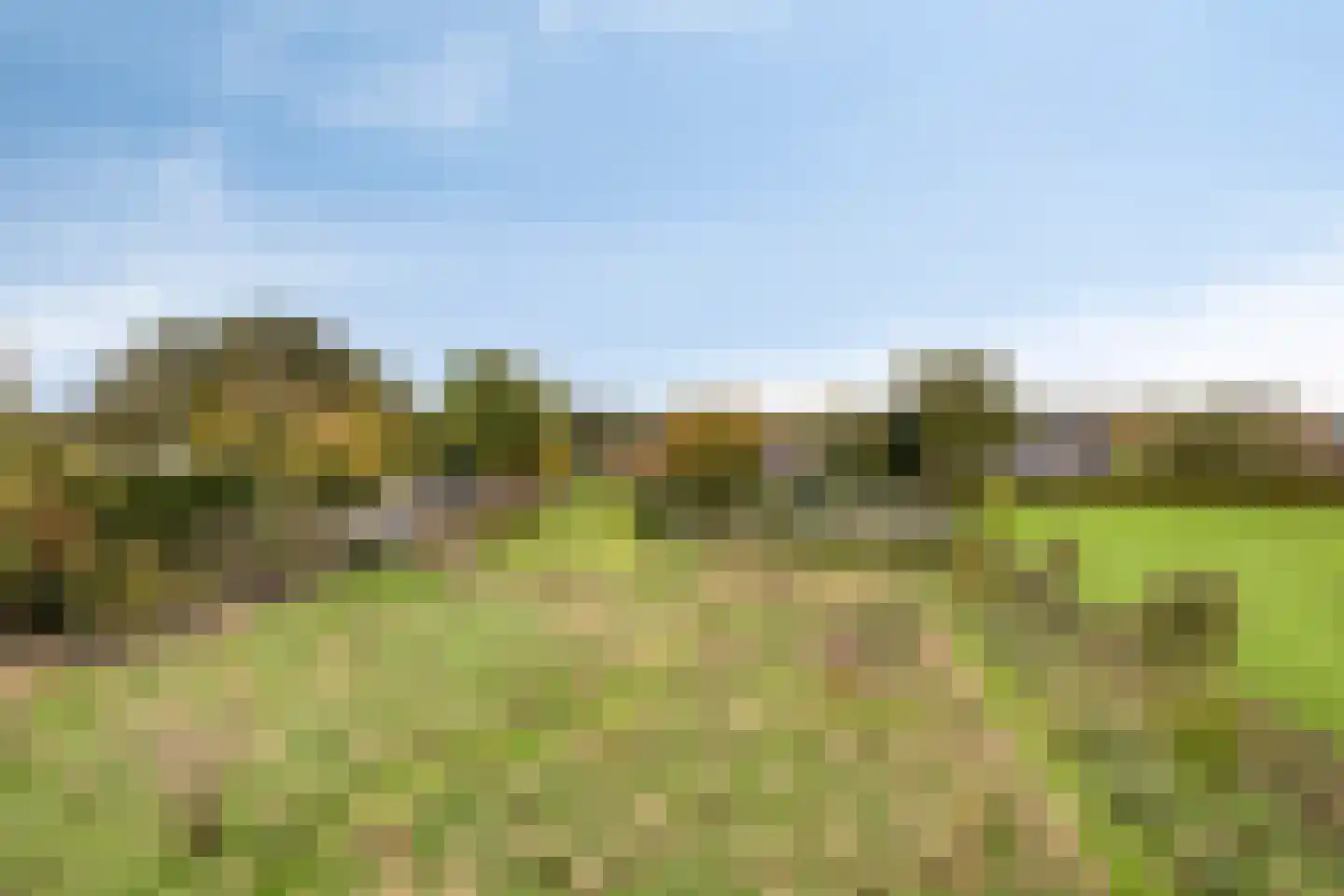 Beelenstraat 3 A Ospel thumbnail 62