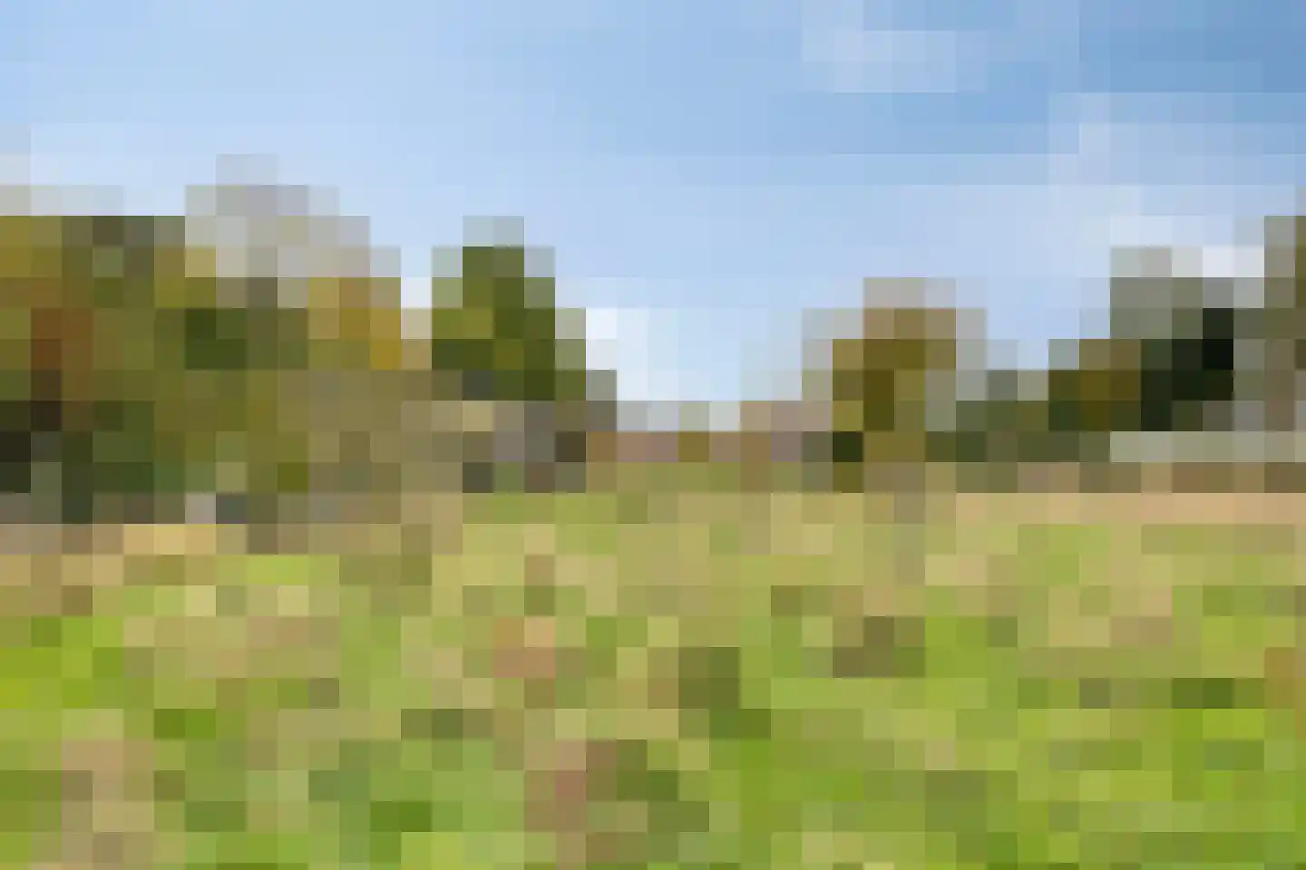 Beelenstraat 3 A Ospel thumbnail 64