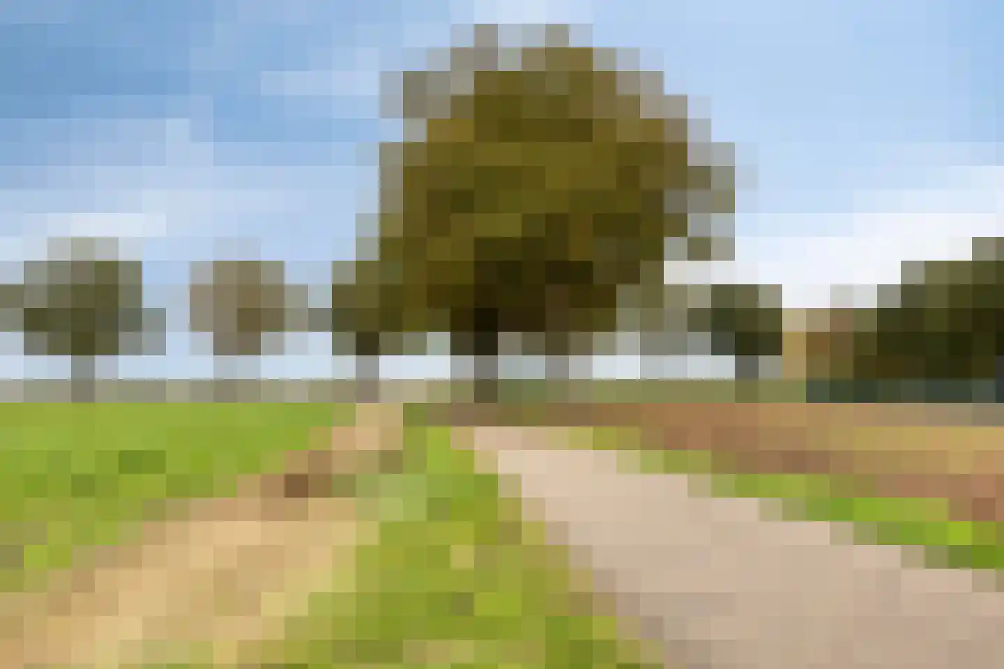 Beelenstraat 3 A Ospel thumbnail 74